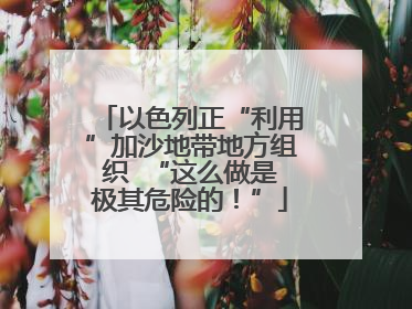 以色列正“利用”加沙地带地方组织  “这么做是极其危险的！”