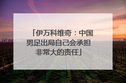 伊万科维奇:中国男足出局自己会承担非常大的责任
