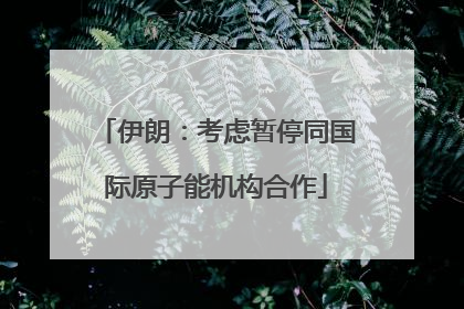 伊朗：考虑暂停同国际原子能机构合作