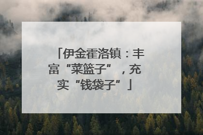 伊金霍洛镇：丰富“菜篮子”，充实“钱袋子”