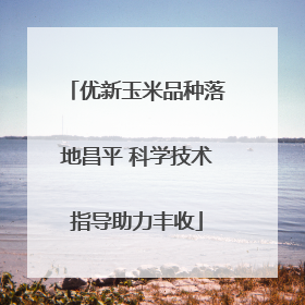 优新玉米品种落地昌平 科学技术指导助力丰收