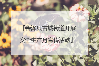 会泽县古城街道开展安全生产月宣传活动
