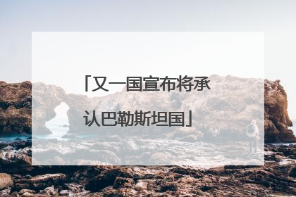 又一国宣布将承认巴勒斯坦国