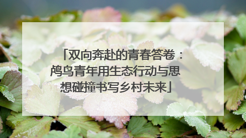 双向奔赴的青春答卷：鸬鸟青年用生态行动与思想碰撞书写乡村未来