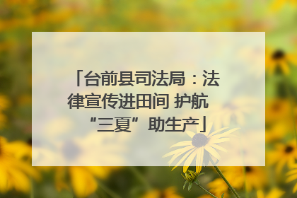 台前县司法局：法律宣传进田间 护航“三夏”助生产