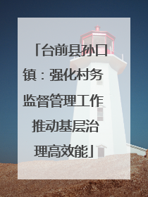 台前县孙口镇：强化村务监督管理工作 推动基层治理高效能