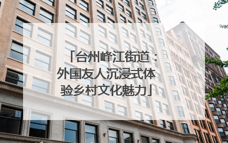 台州峰江街道：外国友人沉浸式体验乡村文化魅力