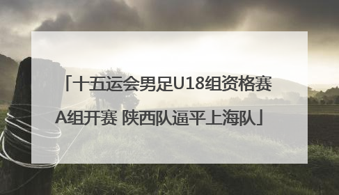 十五运会男足U18组资格赛A组开赛 陕西队逼平上海队