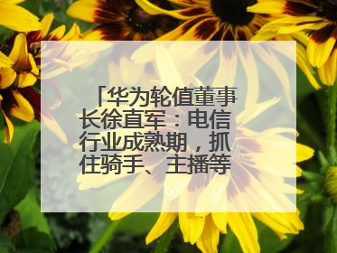 华为轮值董事长徐直军：电信行业成熟期，抓住骑手、主播等成长型需求