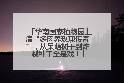 华南国家植物园上演“多肉界玫瑰传奇”，从呆萌树干到炸裂种子全是戏！