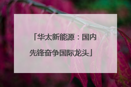 华太新能源：国内先锋奋争国际龙头