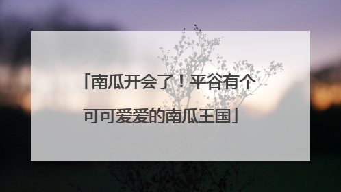 南瓜开会了！平谷有个可可爱爱的南瓜王国