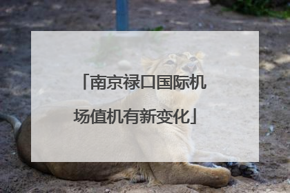 南京禄口国际机场值机有新变化