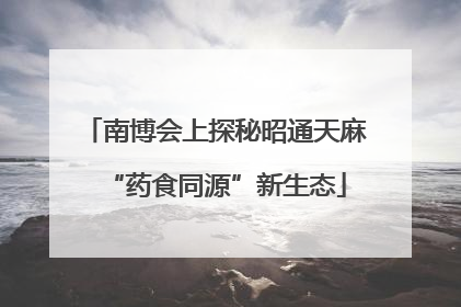南博会上探秘昭通天麻“药食同源”新生态