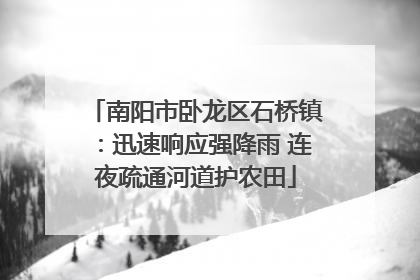南阳市卧龙区石桥镇：迅速响应强降雨 连夜疏通河道护农田