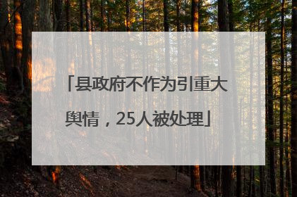 县政府不作为引重大舆情，25人被处理