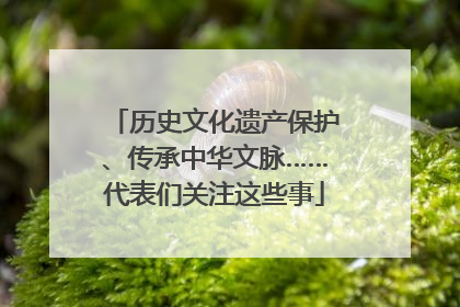 历史文化遗产保护、传承中华文脉……代表们关注这些事