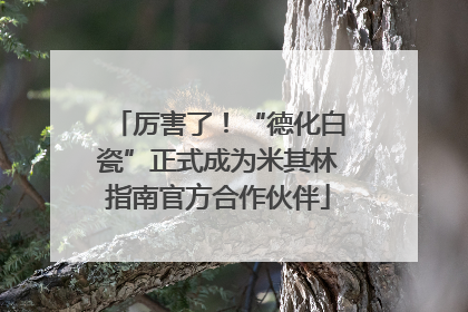 厉害了！“德化白瓷”正式成为米其林指南官方合作伙伴