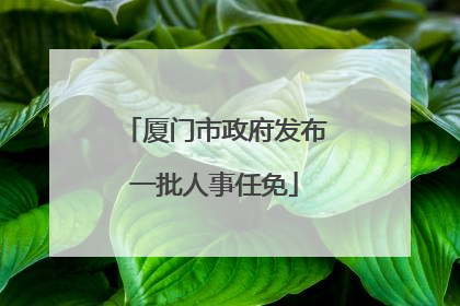 厦门市政府发布一批人事任免
