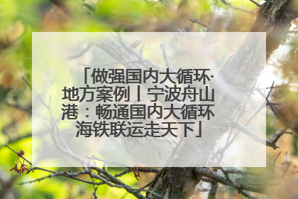 做强国内大循环·地方案例丨宁波舟山港：畅通国内大循环海铁联运走天下