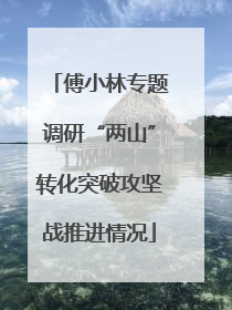 傅小林专题调研“两山”转化突破攻坚战推进情况
