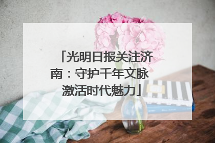 光明日报关注济南：守护千年文脉 激活时代魅力