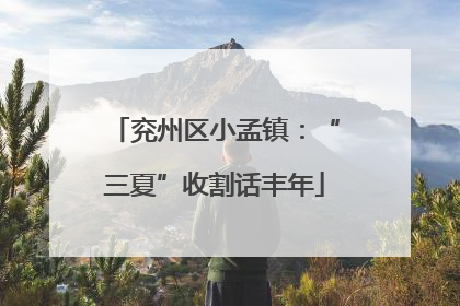 兖州区小孟镇：“三夏”收割话丰年