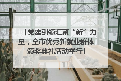 党建引领汇聚“新”力量，全市优秀新就业群体颁奖典礼活动举行