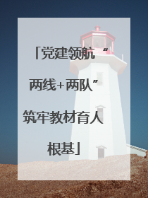 党建领航“两线+两队”筑牢教材育人根基