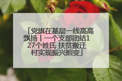 党旗在基层一线高高飘扬丨一个支部团结127个姓氏 扶贫搬迁村实现振兴嬗变