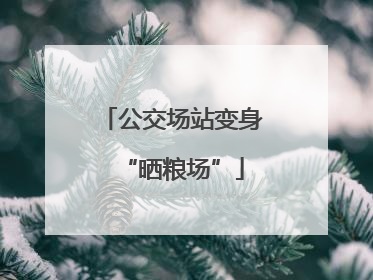 公交场站变身“晒粮场”