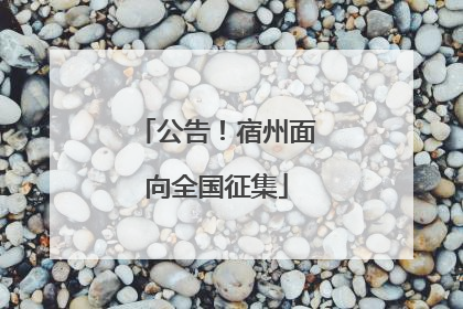 公告！宿州面向全国征集