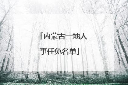 内蒙古一地人事任免名单
