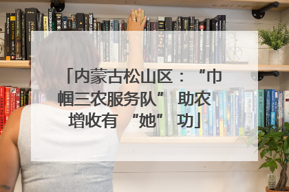 内蒙古松山区：“巾帼三农服务队” 助农增收有 “她” 功