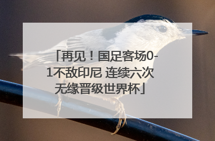 再见！国足客场0-1不敌印尼 连续六次无缘晋级世界杯