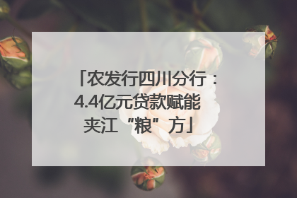 农发行四川分行：4.4亿元贷款赋能夹江“粮”方