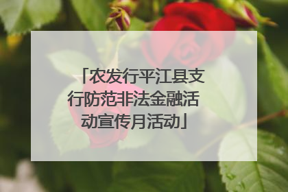 农发行平江县支行防范非法金融活动宣传月活动