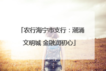 农行海宁市支行：潮涌文明城 金融润初心
