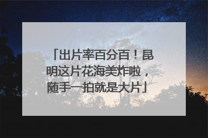 出片率百分百！昆明这片花海美炸啦，随手一拍就是大片