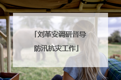 刘革安调研督导防汛抗灾工作