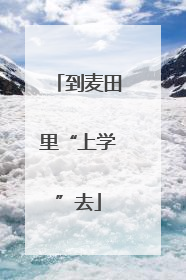 到麦田里“上学”去
