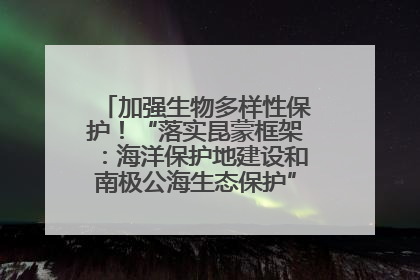 加强生物多样性保护！“落实昆蒙框架：海洋保护地建设和南极公海生态保护”主题论坛将举办