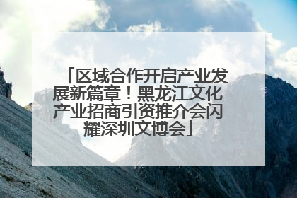 区域合作开启产业发展新篇章!黑龙江文化产业招商引资推介会闪耀深圳文博会