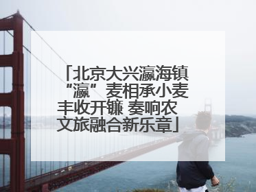 北京大兴瀛海镇“瀛”麦相承小麦丰收开镰 奏响农文旅融合新乐章