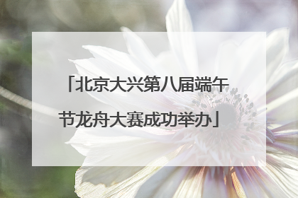 北京大兴第八届端午节龙舟大赛成功举办