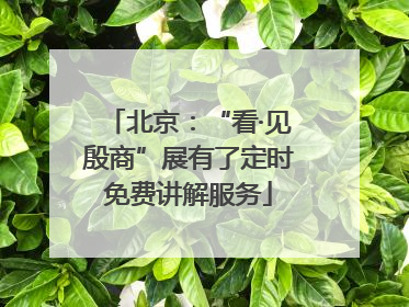 北京：“看·见殷商”展有了定时免费讲解服务