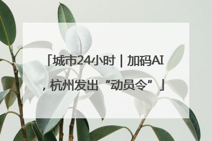 城市24小时｜加码AI，杭州发出“动员令”