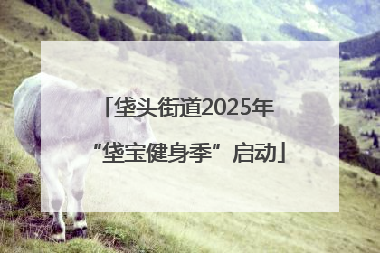 垡头街道2025年“垡宝健身季”启动