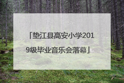 垫江县高安小学2019级毕业音乐会落幕