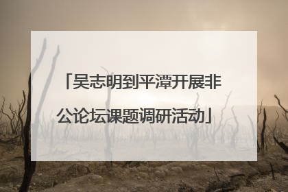 吴志明到平潭开展非公论坛课题调研活动